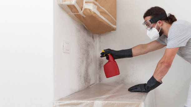 Professional Commercial Mold Remediation technician working in Moonachie, NJ